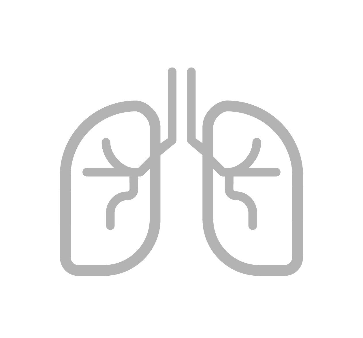 respiratoryRate